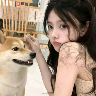 乌衣夜行